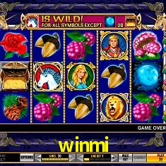 winmi Brasília - VIP Program